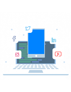 Creación de cuentas...